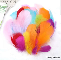 Bright Colours Feathers